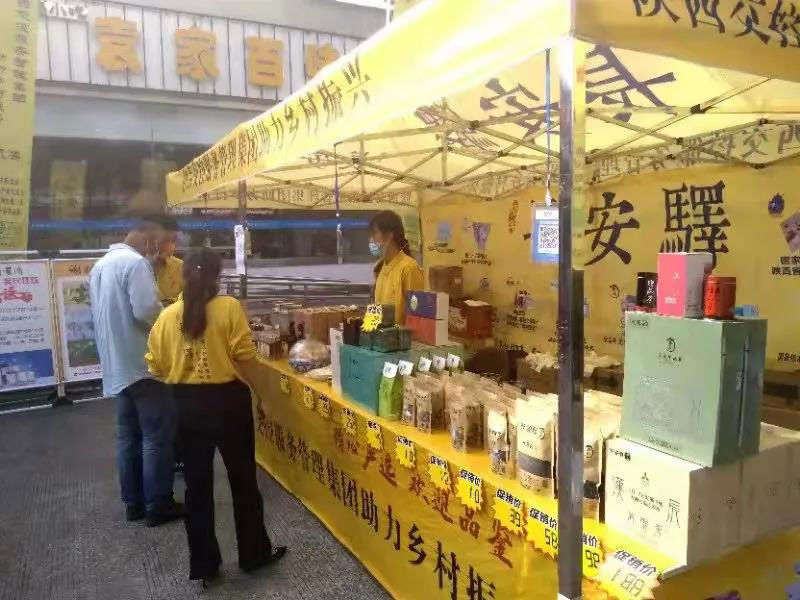 【秦洋长生酒业】喜报：“朱鹮飞进”高速公路服务区