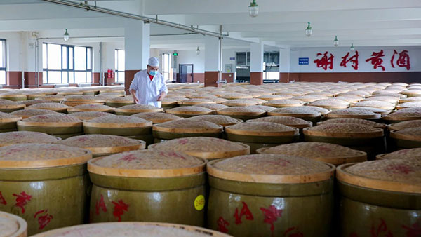 【秦洋长生酒业】生态高颜值·发展高质量 || “古法”遇上“新艺”，谢村黄酒“飘香”的秘诀在这里