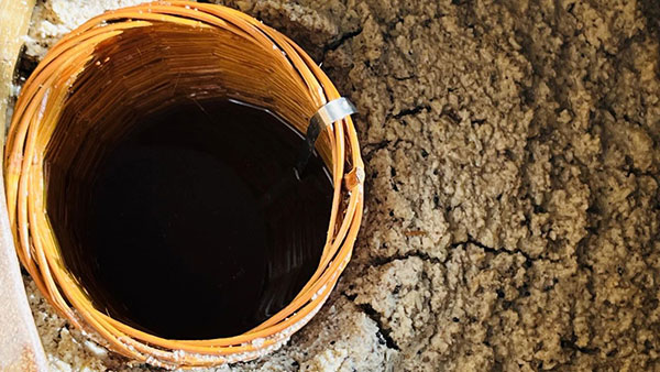 【秦洋长生酒业】生态高颜值·发展高质量 || “古法”遇上“新艺”，谢村黄酒“飘香”的秘诀在这里