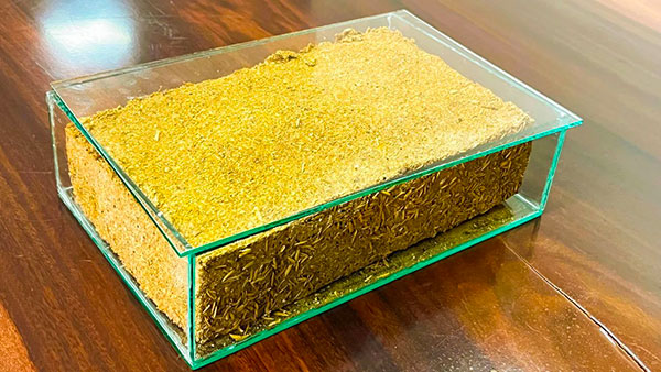 【秦洋长生酒业】生态高颜值·发展高质量 || “古法”遇上“新艺”，谢村黄酒“飘香”的秘诀在这里